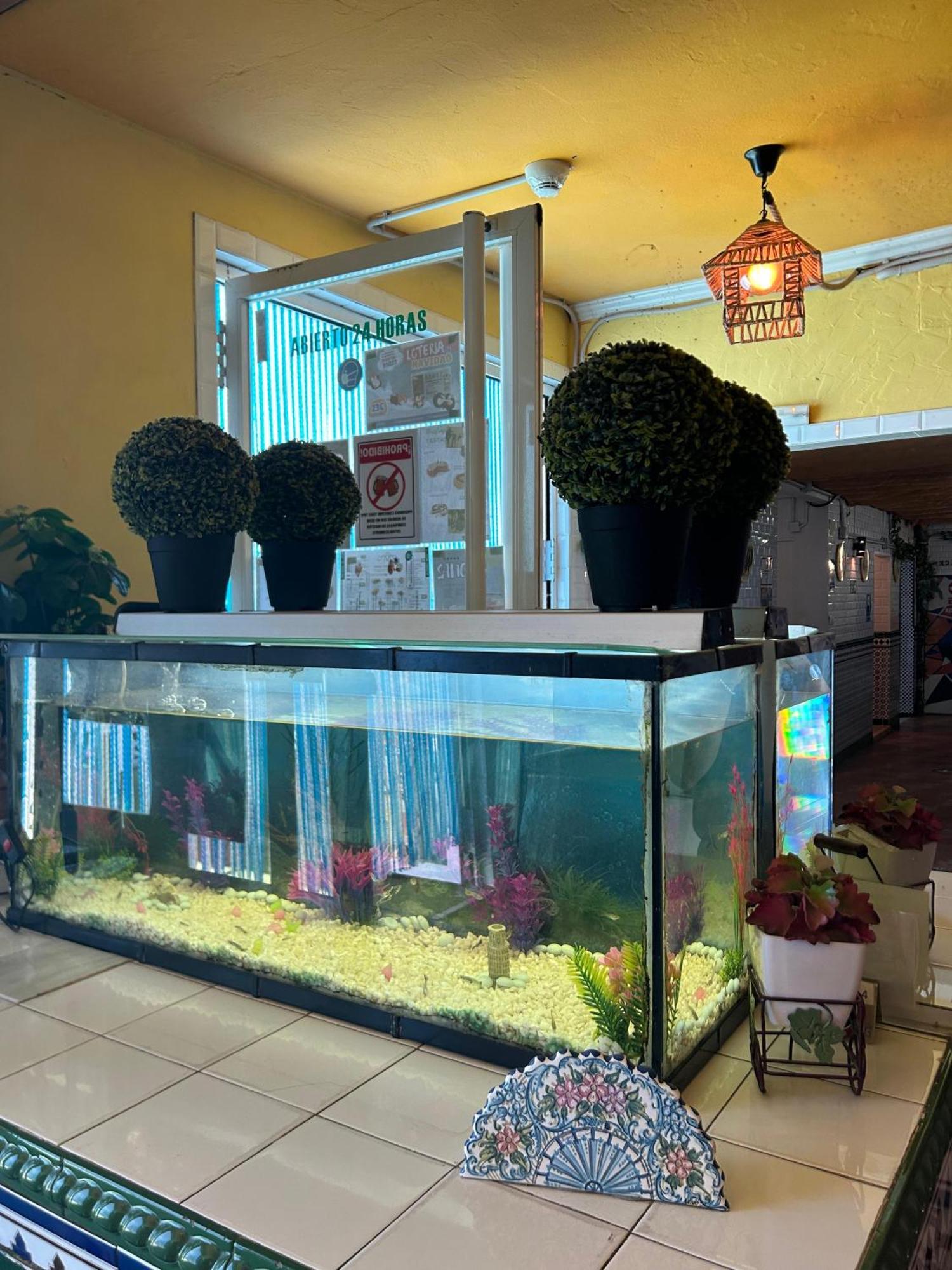 Avenida Andalucia - Solo Adultos Maison d'hôtes Séville